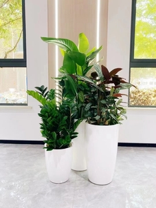 专业花卉租摆，领略宁波奉化的花卉艺术风情